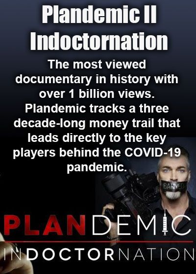 PLANDEMIC II: INDOCTORNATION
